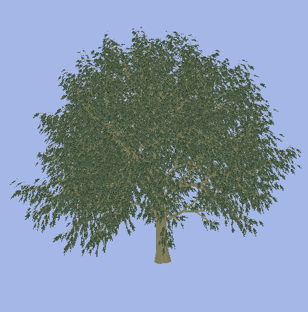 images/alpha-map-2.png