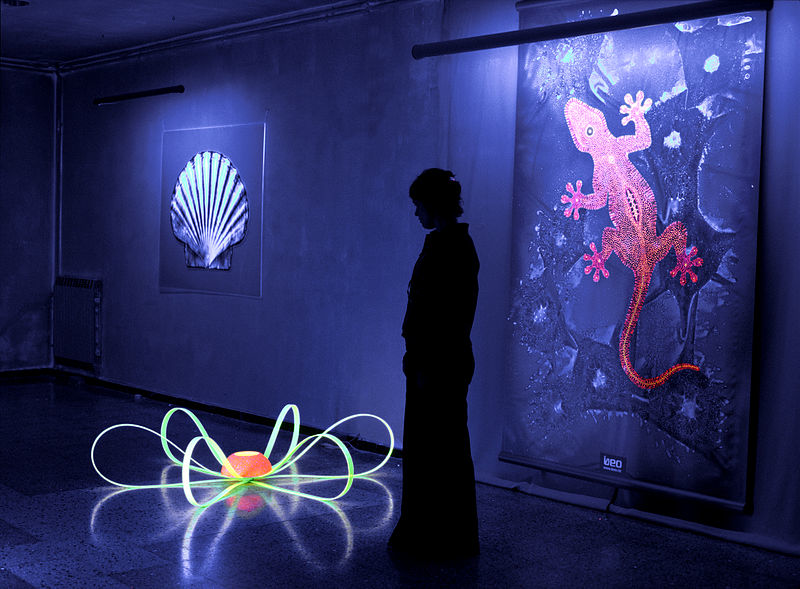 images/fluorescence.png