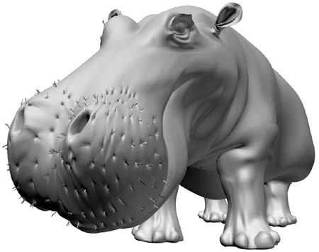 images/hippo-2.png
