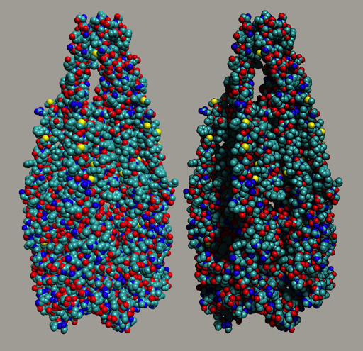 images/molecule-shadow.png