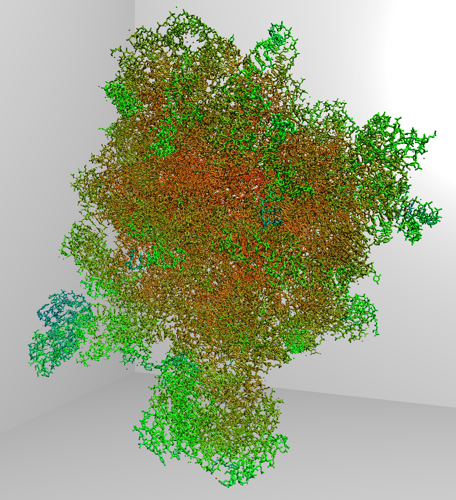 images/protein.png